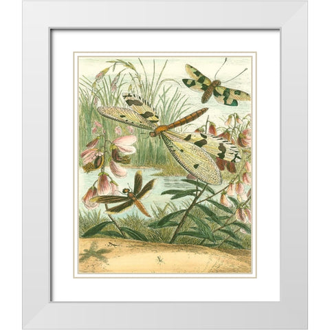 Dragonfly Gathering I White Modern Wood Framed Art Print with Double Matting by Vision Studio