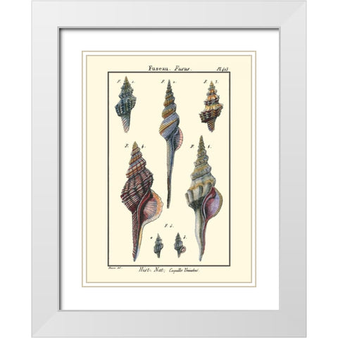Sea Shells I White Modern Wood Framed Art Print with Double Matting by Diderot, Denis