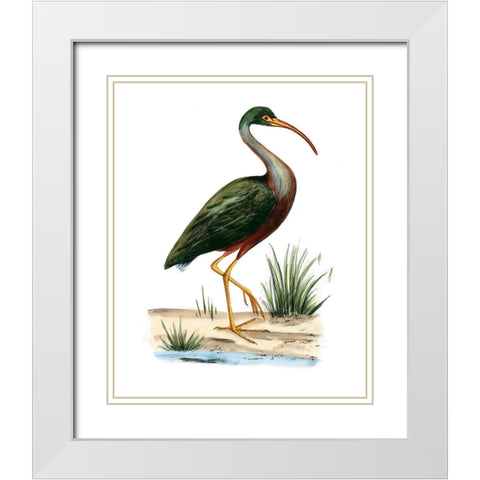 Water Birds I White Modern Wood Framed Art Print with Double Matting by Vision Studio