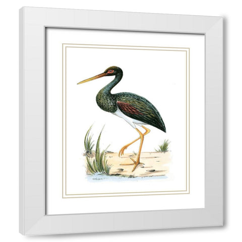 Water Birds II White Modern Wood Framed Art Print with Double Matting by Vision Studio