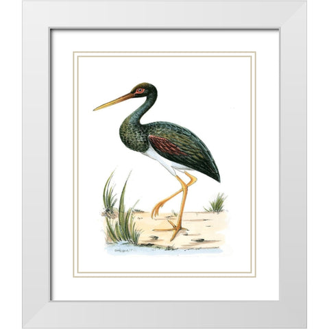 Water Birds II White Modern Wood Framed Art Print with Double Matting by Vision Studio