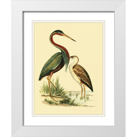 Water Birds III White Modern Wood Framed Art Print with Double Matting by Vision Studio