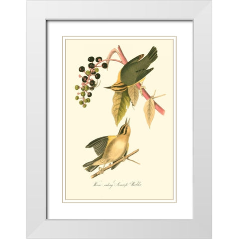 Audubons Warbler White Modern Wood Framed Art Print with Double Matting by Audubon, John James