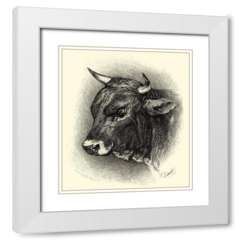 Antique Cattle IV White Modern Wood Framed Art Print with Double Matting by Lehnert, F.