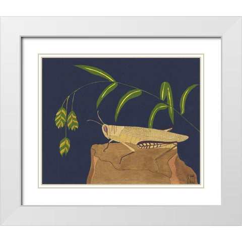 Ornamental Grasshopper II White Modern Wood Framed Art Print with Double Matting by Tenser, Nina
