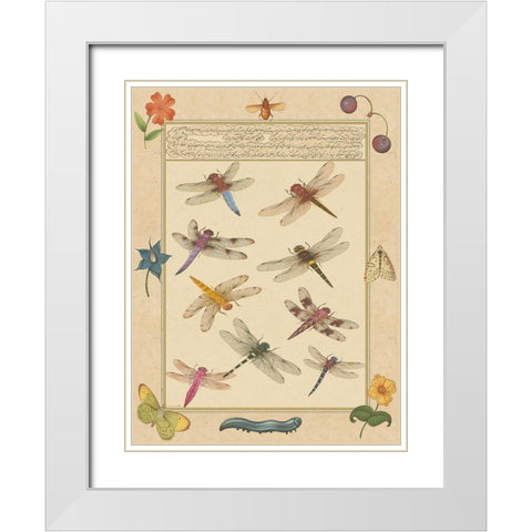 Small Dragonfly Manuscript III (U) White Modern Wood Framed Art Print with Double Matting by Prasad, Jaggu