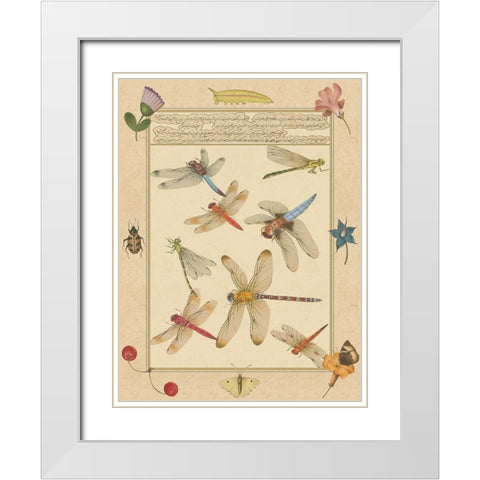 Small Dragonfly Manuscript IV (U) White Modern Wood Framed Art Print with Double Matting by Prasad, Jaggu