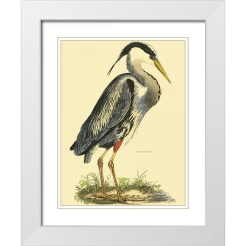 Small Great Blue Heron White Modern Wood Framed Art Print with Double Matting by Selby, John