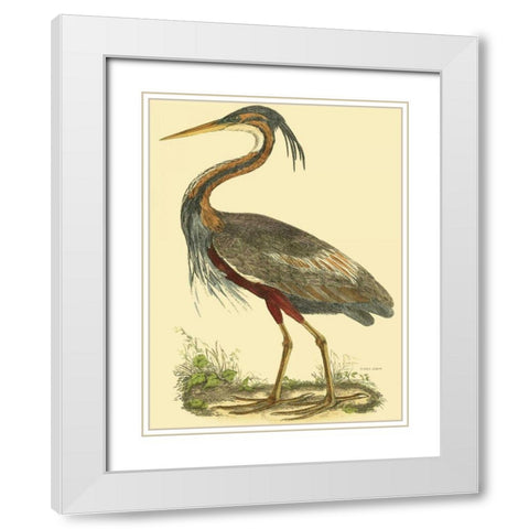 Small Purple Heron White Modern Wood Framed Art Print with Double Matting by Selby, John