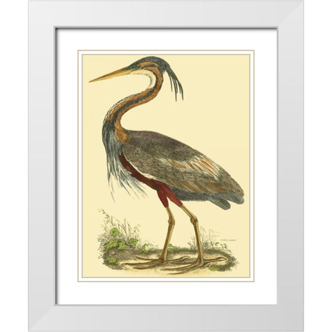 Small Purple Heron White Modern Wood Framed Art Print with Double Matting by Selby, John