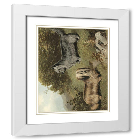 Terriers White Modern Wood Framed Art Print with Double Matting by Shaw, Vero