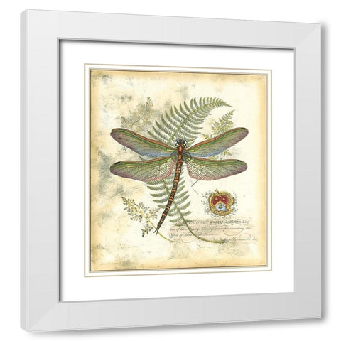 Mini Regal Dragonfly I White Modern Wood Framed Art Print with Double Matting by Vision Studio