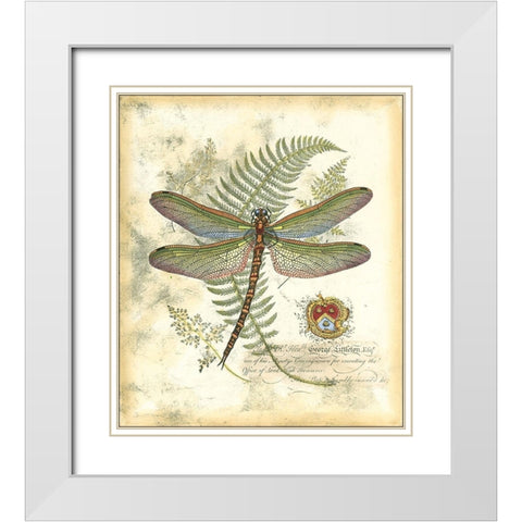 Mini Regal Dragonfly I White Modern Wood Framed Art Print with Double Matting by Vision Studio