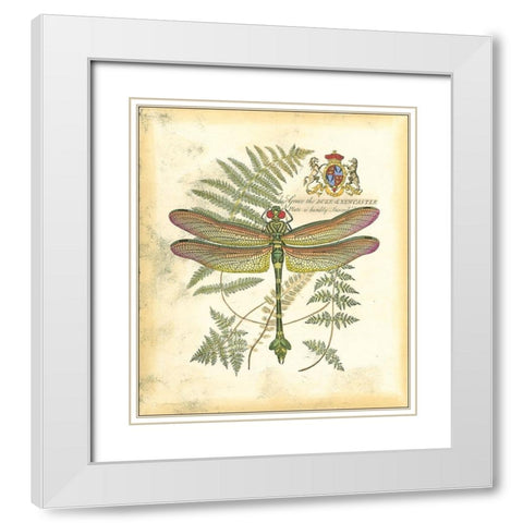 Mini Regal Dragonfly III White Modern Wood Framed Art Print with Double Matting by Vision Studio
