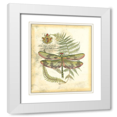 Mini Regal Dragonfly IV White Modern Wood Framed Art Print with Double Matting by Vision Studio