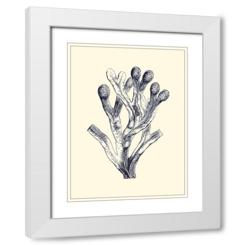 Indigo Kelp II White Modern Wood Framed Art Print with Double Matting by Vision Studio