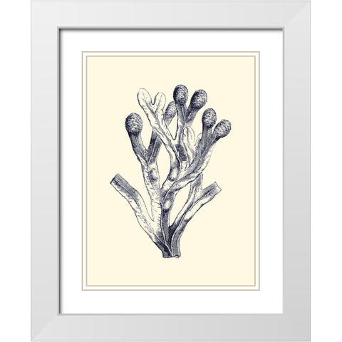 Indigo Kelp II White Modern Wood Framed Art Print with Double Matting by Vision Studio