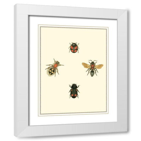 Insecte I White Modern Wood Framed Art Print with Double Matting by Vision Studio