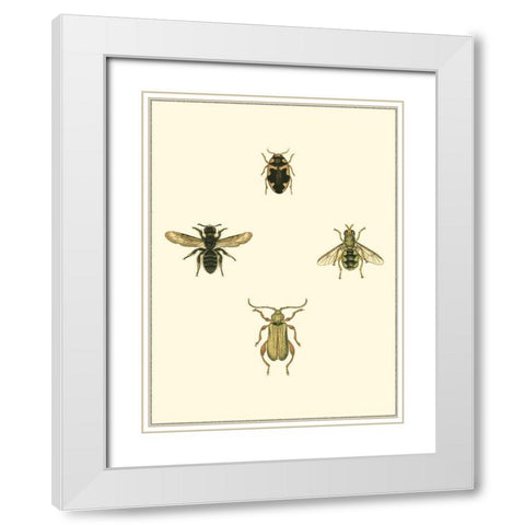 Insecte II White Modern Wood Framed Art Print with Double Matting by Vision Studio