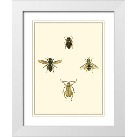 Insecte II White Modern Wood Framed Art Print with Double Matting by Vision Studio