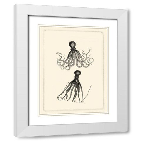Sepia Octopus White Modern Wood Framed Art Print with Double Matting by Vision Studio