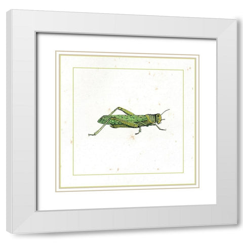 Green Hopper White Modern Wood Framed Art Print with Double Matting by Vision Studio