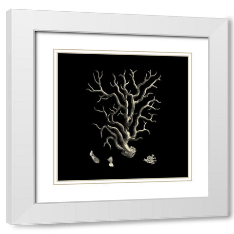 Small Black And Tan Coral I (P) White Modern Wood Framed Art Print with Double Matting by Vision Studio