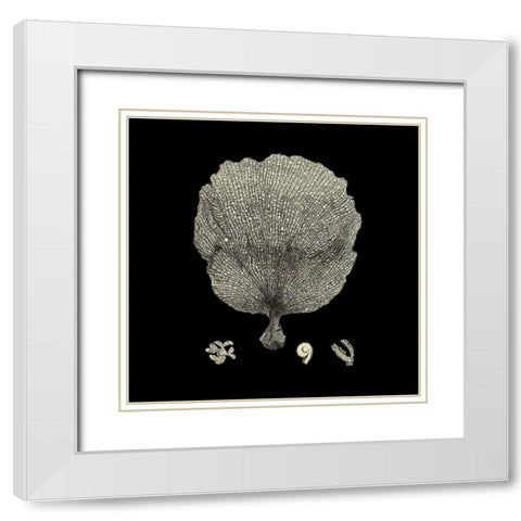 Small Black And Tan Coral II (P) White Modern Wood Framed Art Print with Double Matting by Vision Studio