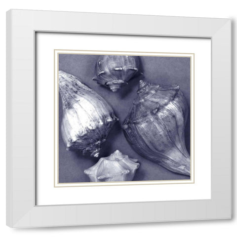 Shell Convergence III White Modern Wood Framed Art Print with Double Matting by Stramel, Renee W.