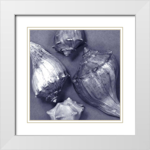 Shell Convergence III White Modern Wood Framed Art Print with Double Matting by Stramel, Renee W.