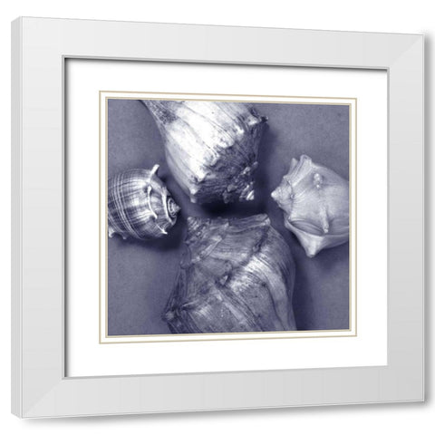 Shell Convergence IV White Modern Wood Framed Art Print with Double Matting by Stramel, Renee W.