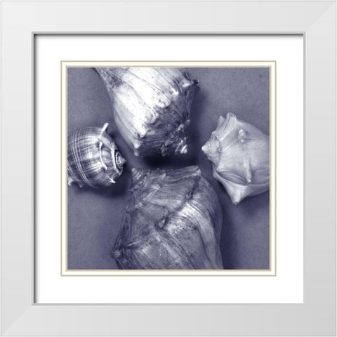 Shell Convergence IV White Modern Wood Framed Art Print with Double Matting by Stramel, Renee W.