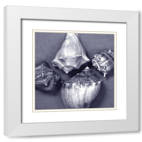 Shell Convergence V White Modern Wood Framed Art Print with Double Matting by Stramel, Renee W.