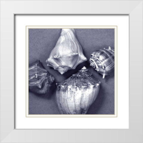 Shell Convergence V White Modern Wood Framed Art Print with Double Matting by Stramel, Renee W.