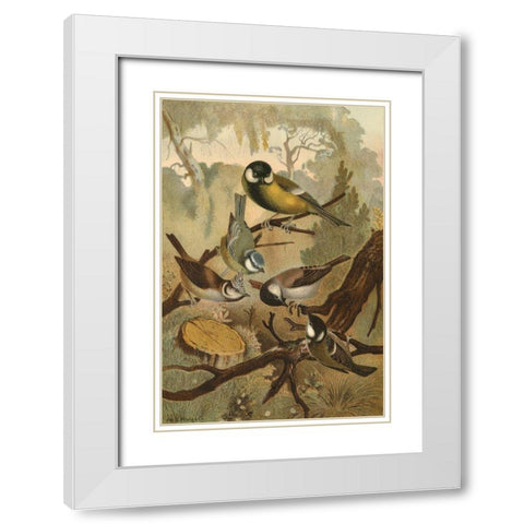 Titmice White Modern Wood Framed Art Print with Double Matting by unknown