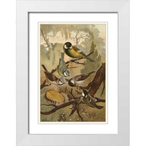 Titmice White Modern Wood Framed Art Print with Double Matting by unknown