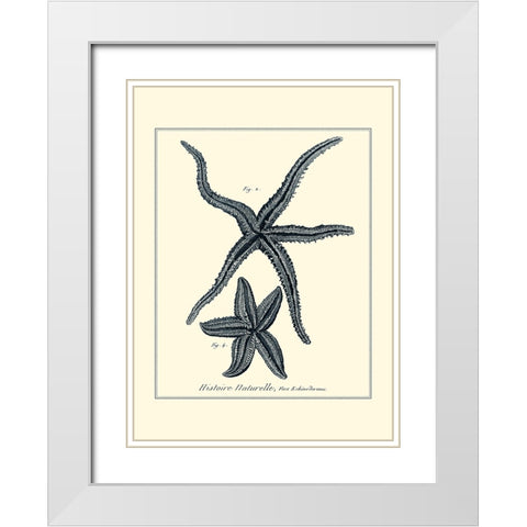 Indigo Starfish II White Modern Wood Framed Art Print with Double Matting by Diderot, Denis