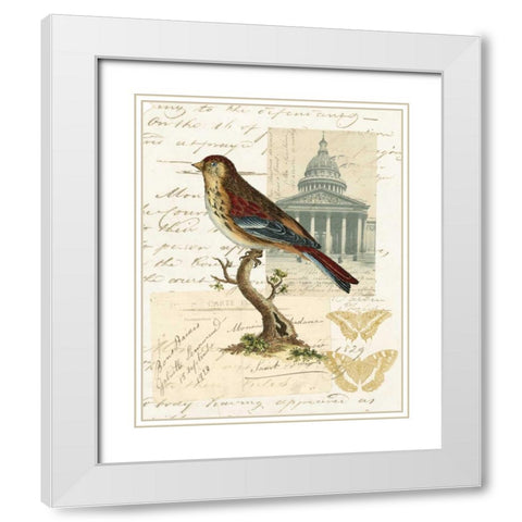 Naturalists Collage I White Modern Wood Framed Art Print with Double Matting by Vision Studio