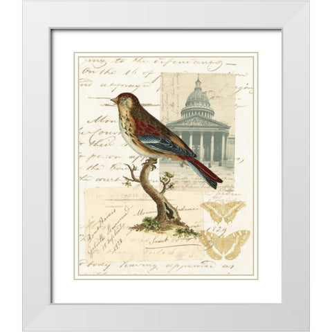 Naturalists Collage I White Modern Wood Framed Art Print with Double Matting by Vision Studio