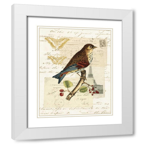 Naturalists Collage II White Modern Wood Framed Art Print with Double Matting by Vision Studio