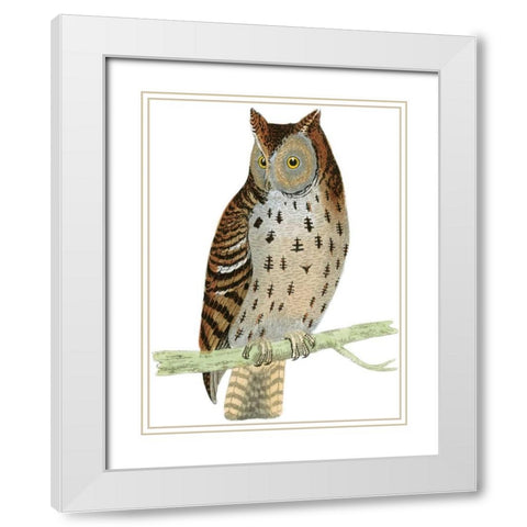 Morris Mottled Owl White Modern Wood Framed Art Print with Double Matting by Morris