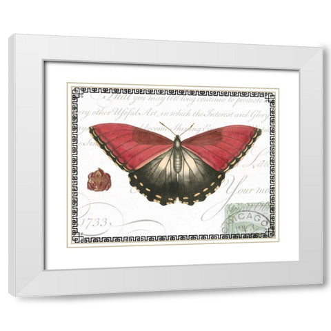Butterfly Prose I White Modern Wood Framed Art Print with Double Matting by Vision Studio
