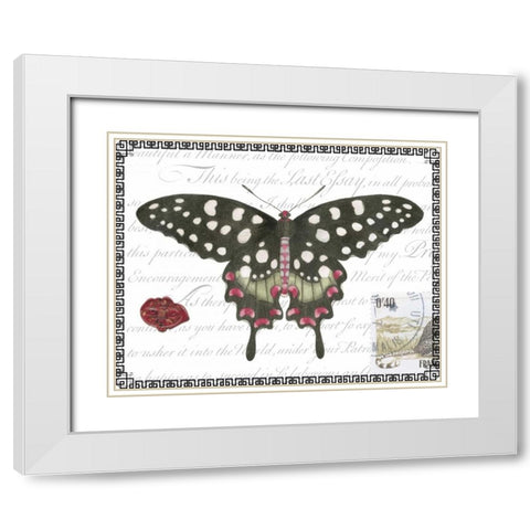 Butterfly Prose V White Modern Wood Framed Art Print with Double Matting by Vision Studio