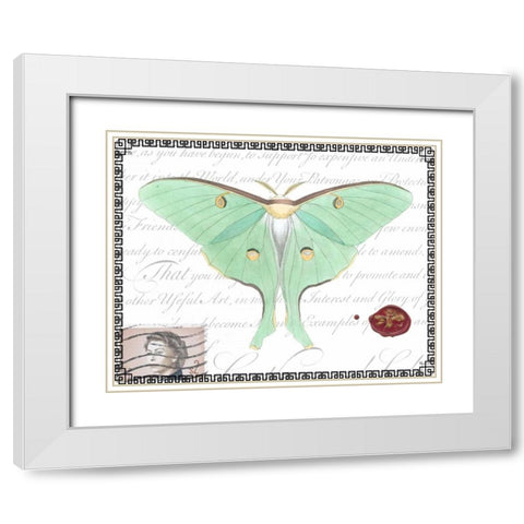 Butterfly Prose VI White Modern Wood Framed Art Print with Double Matting by Vision Studio