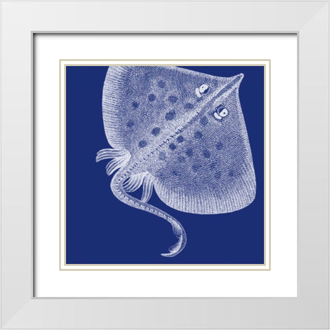 Saturated Sea Life III White Modern Wood Framed Art Print with Double Matting by Vision Studio