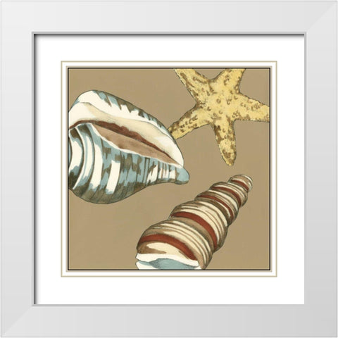 Small Shell Trio on Khaki I White Modern Wood Framed Art Print with Double Matting by Meagher, Megan