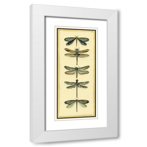 Small Dragonfly Collector I White Modern Wood Framed Art Print with Double Matting by Zarris, Chariklia