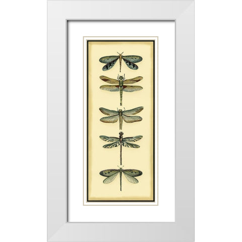 Small Dragonfly Collector I White Modern Wood Framed Art Print with Double Matting by Zarris, Chariklia