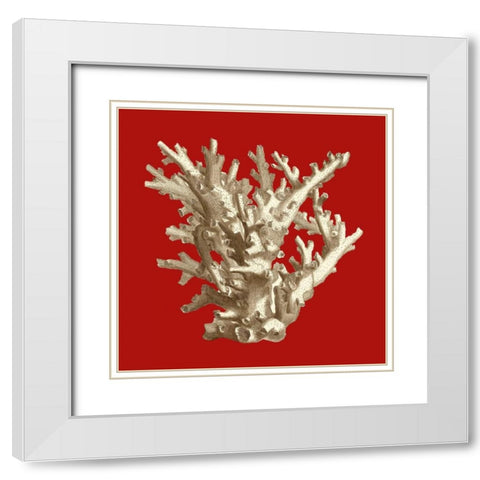 Small Coral on Red I White Modern Wood Framed Art Print with Double Matting by Vision Studio
