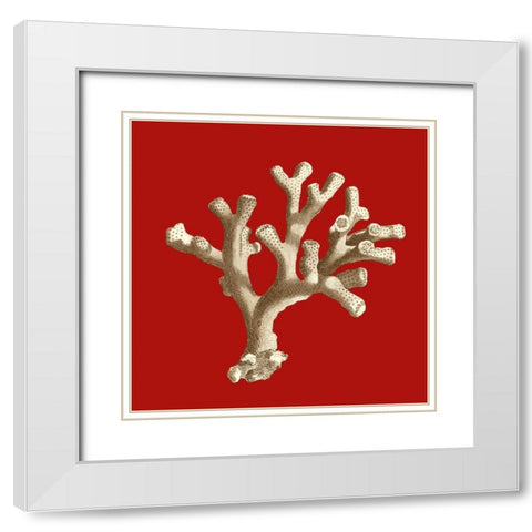 Small Coral on Red II White Modern Wood Framed Art Print with Double Matting by Vision Studio